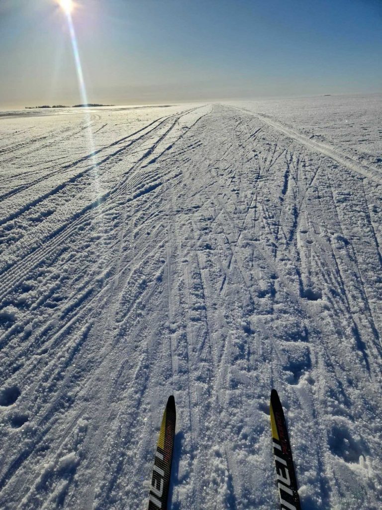 Winter