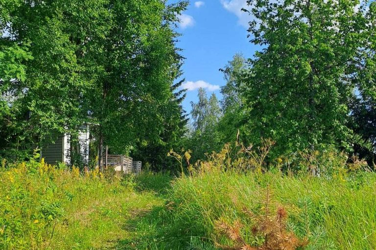 Meadow Path in Niittysaari